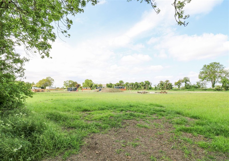This is the garden at Woodpecker, Lode near Bottisham