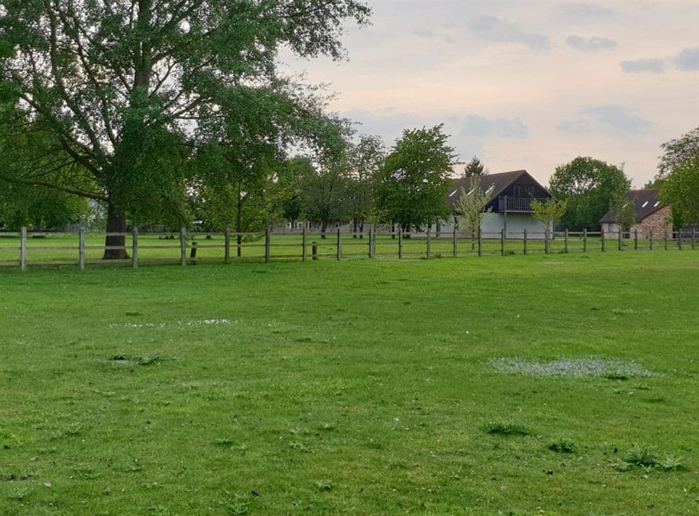 View at Woodpecker Lodge in Wyton, Cambridgeshire