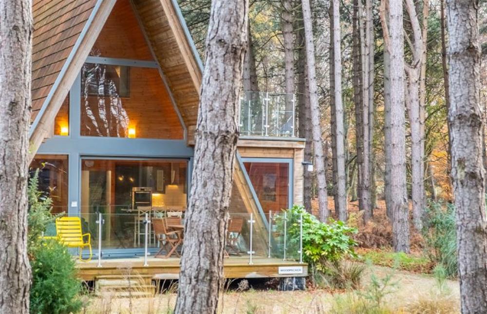 A beautiful, Scandinavian A-frame lodge in Weybourne Forest, set high on the hill above the popular coastal village of Weybourne
