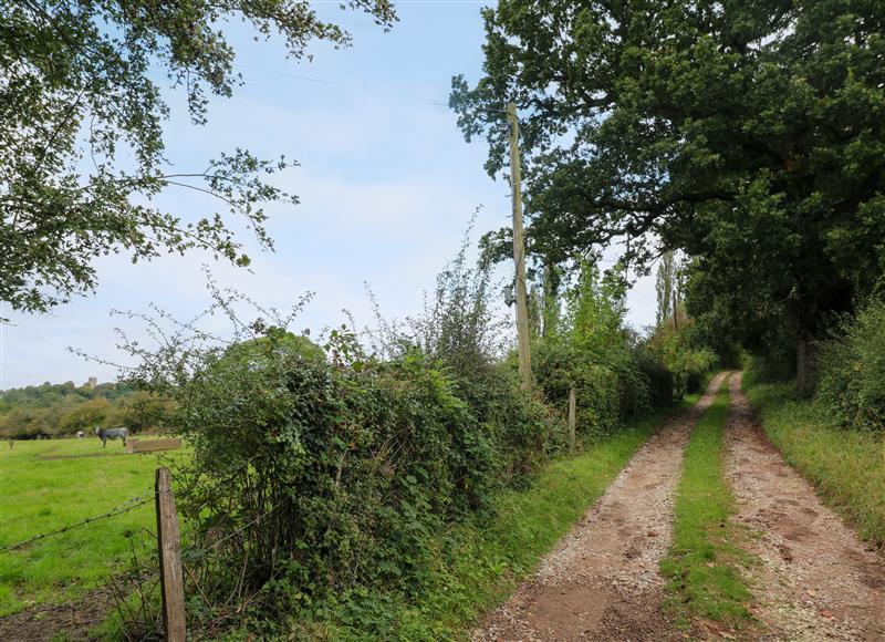 The setting around Woodpit Cottage