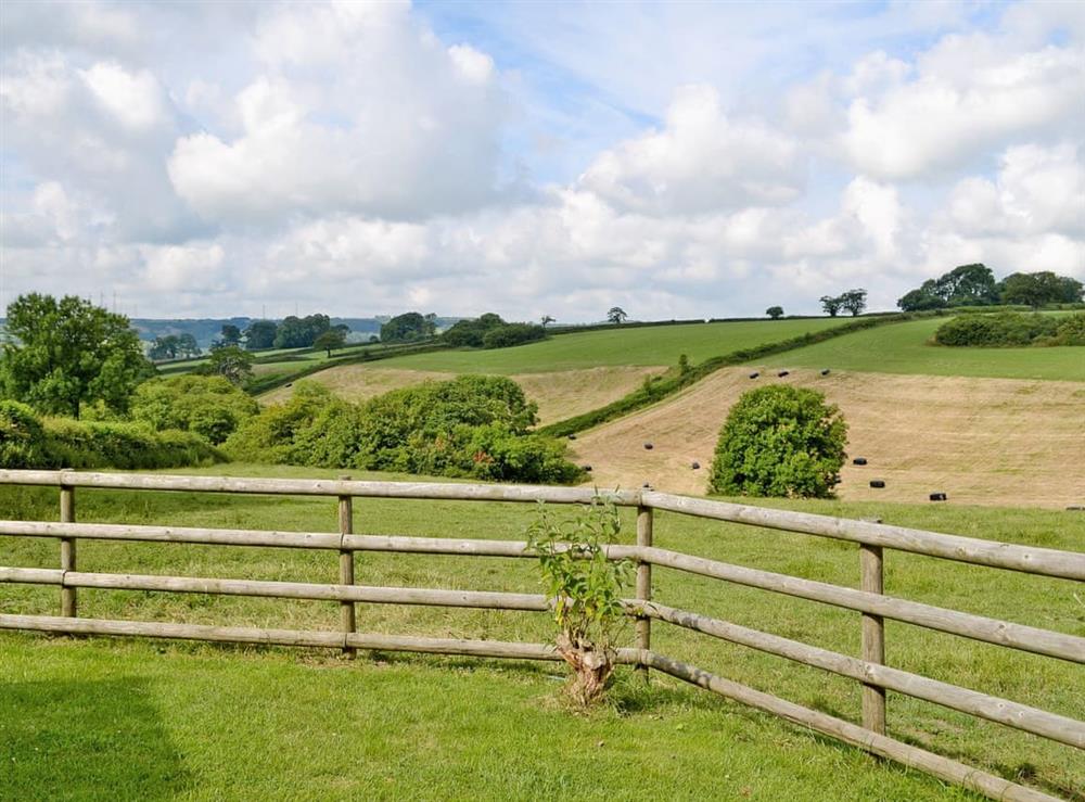 View at Woods Cottage in Dorchester, Dorset