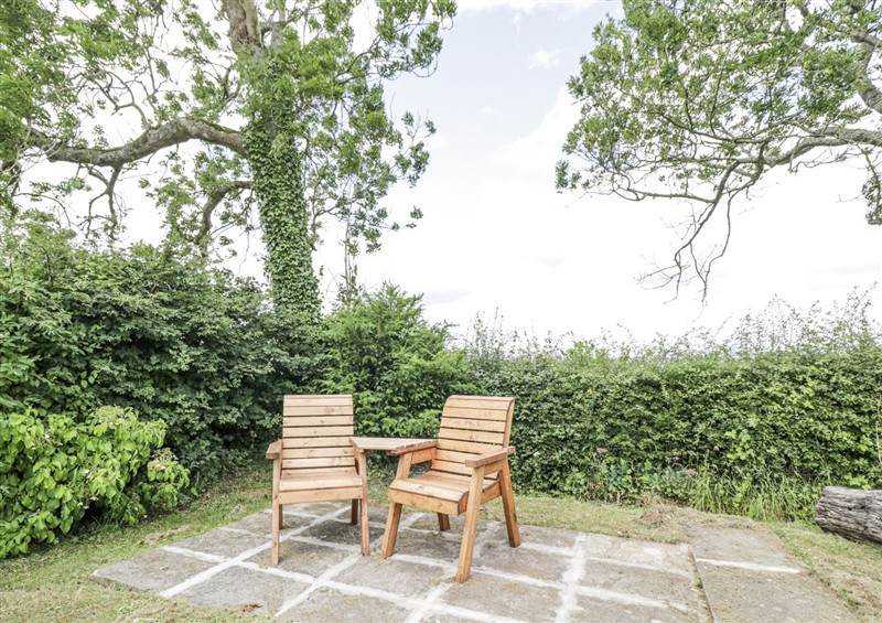 Outside at Woods Cottage, Kingcoed near Raglan