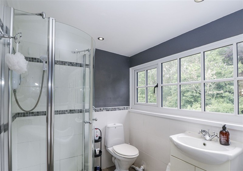 The bathroom at Woods Cottage, Kingcoed near Raglan