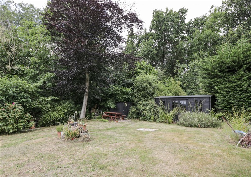 The garden at Woods Cottage, Kingcoed near Raglan