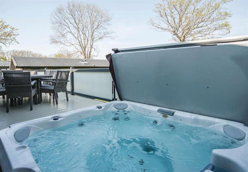 Tennyson Premier Lodge at Woodside Beach Lodges in , Isle Of Wight