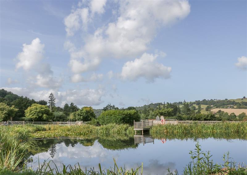 Rural landscape