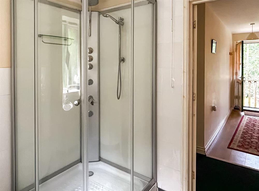 Shower room at The Mallards, 