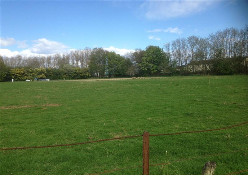 Rural landscape at Woodside House, Arbroath