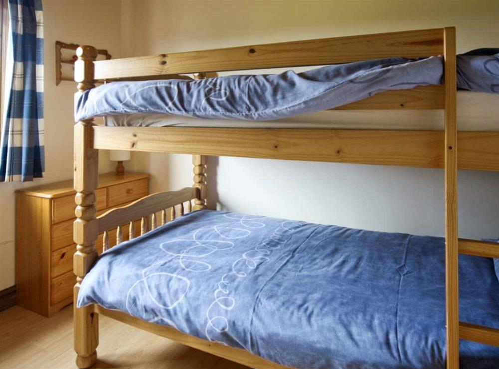 Bunk bedroom at Woodside Lodge in Llandrindod Wells, Powys