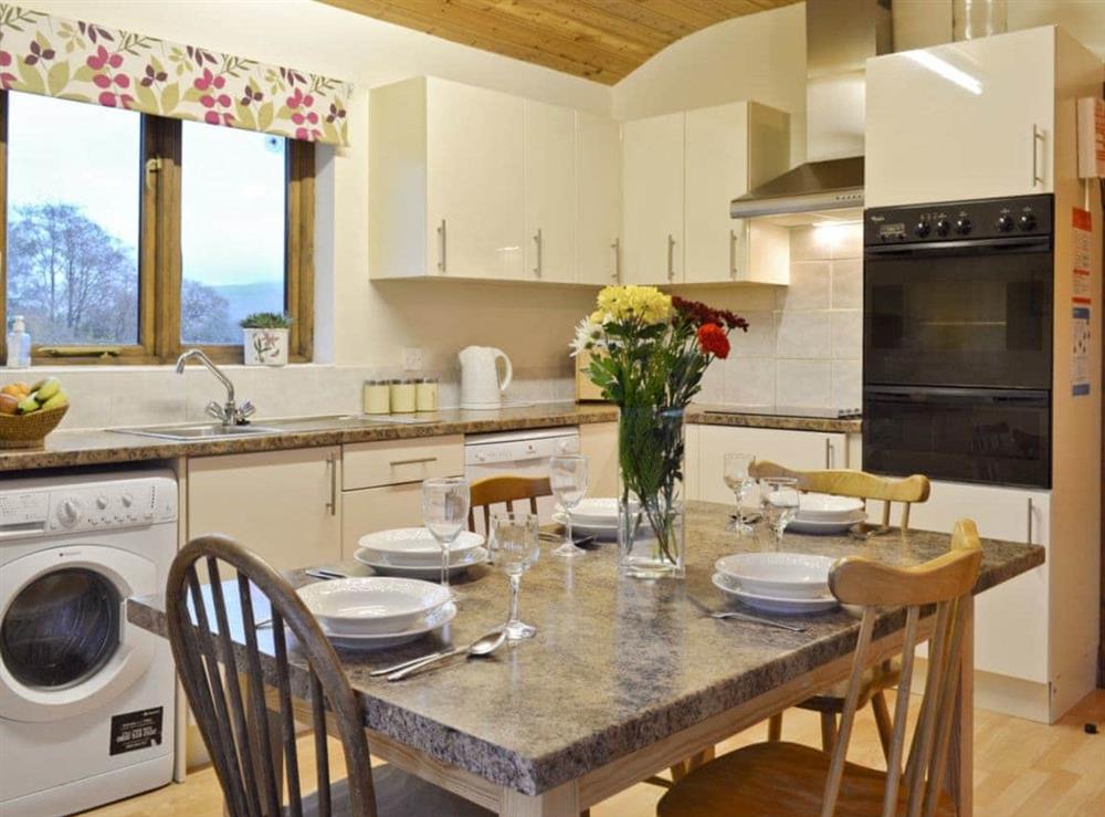 Open plan living/dining room/kitchen (photo 3) at Woodside Lodge in Llandrindod Wells, Powys