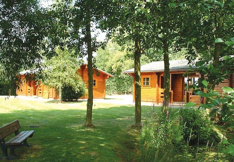 The park setting (photo number 5) at Woodside Lodges in Herefordshire, Heart of England