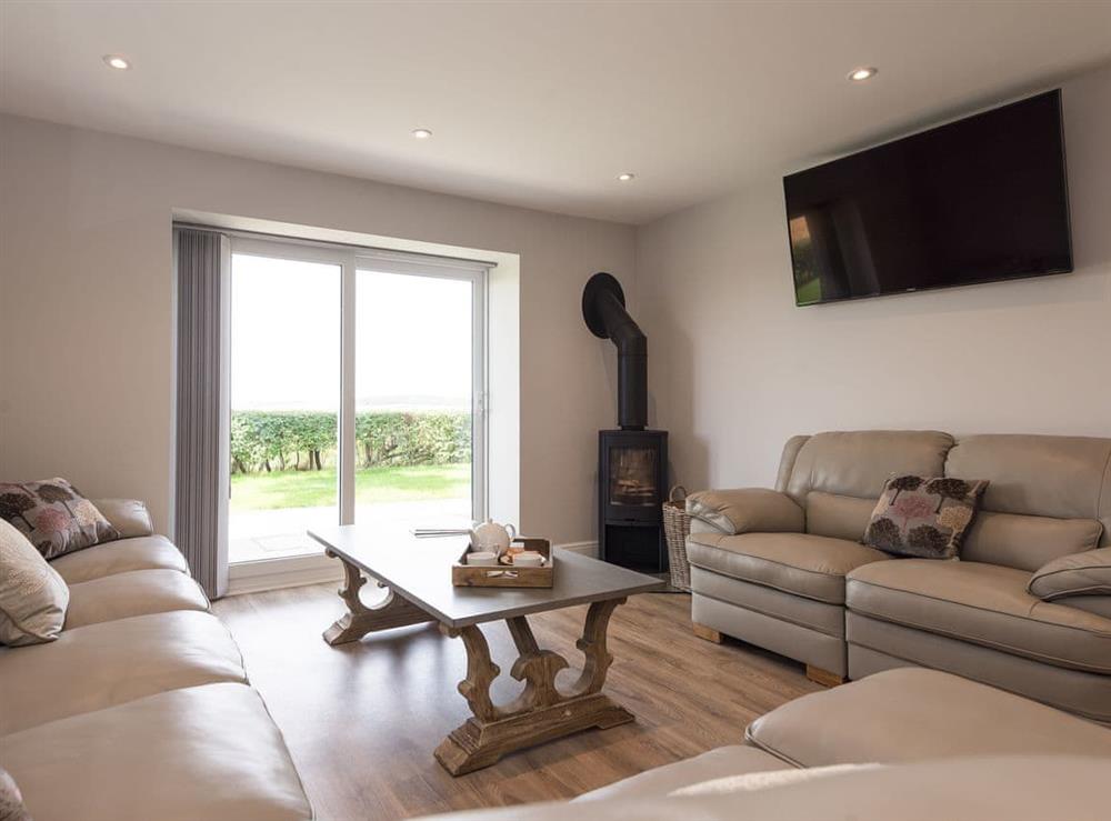 Lounge area with wood burner at Woodys Top in Ruckland, near Louth, Lincolnshire