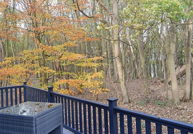Decked area in the Bluebell at Woolverstone Marina Lodge Park in Woolverstone, Ipswich