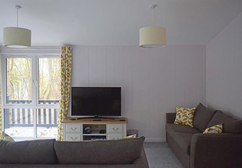 Living room in Poppy at Woolverstone Marina Lodge Park in Woolverstone, Ipswich