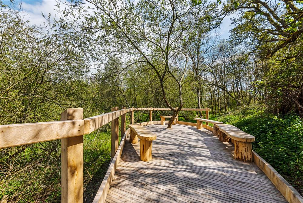 The accessible boardwalk with benches and picnic areas at Wraxall Yard, Dorchester