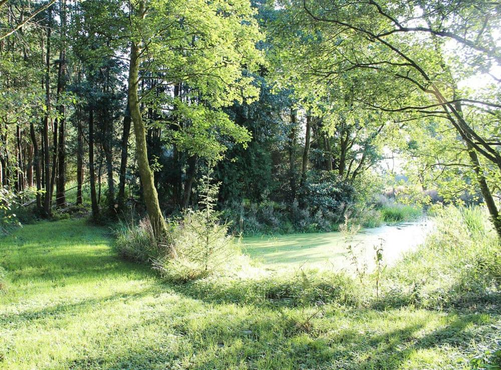 Easily accessible walks around the lake at Wren Cottage in Llandeilo, Dyfed