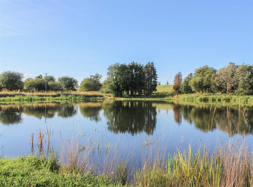 ’The lake on site is a wildlife haven at Wren Cottage in Llandeilo, Dyfed