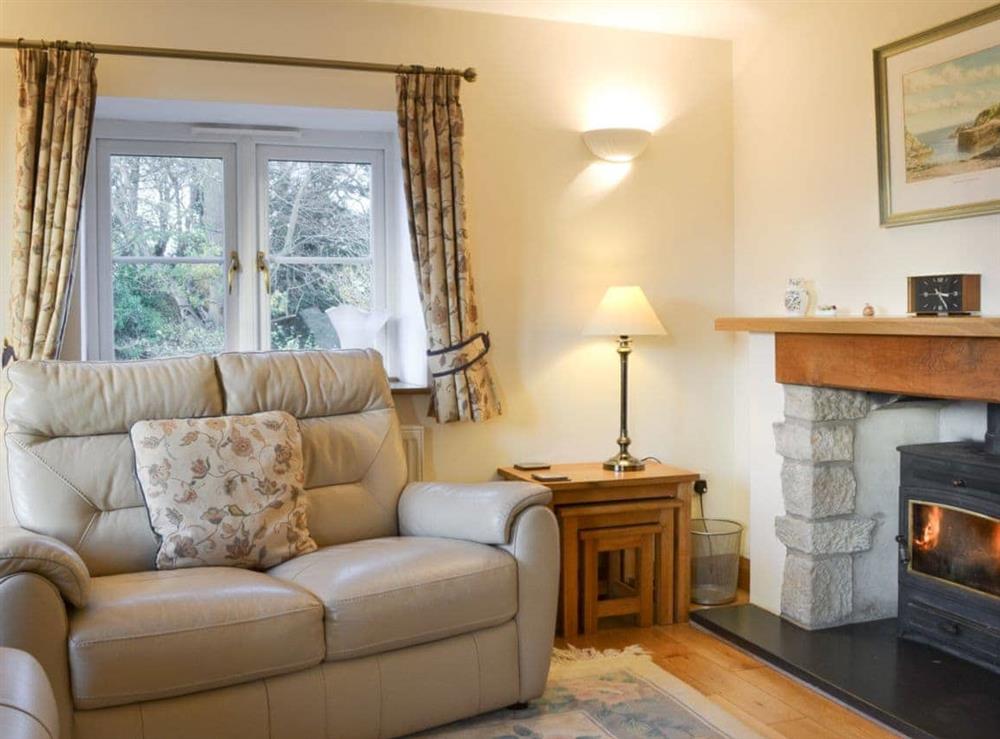 Cosy living room with woodburner at Wren Cottage  in Ross on Wye, Herefordshire