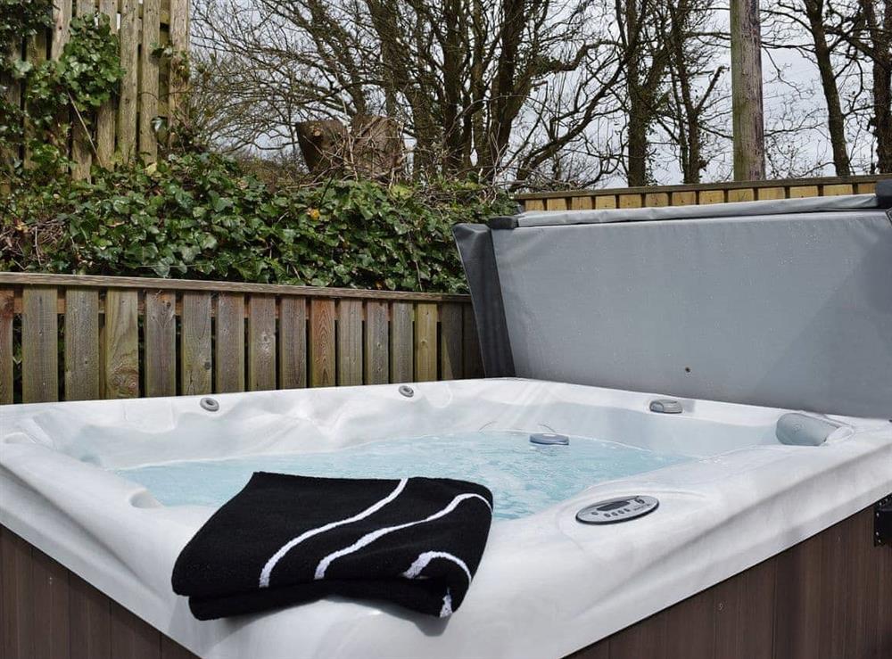 Hot tub (photo 2) at Wrth-y-Nant in Kidwelly, Dyfed