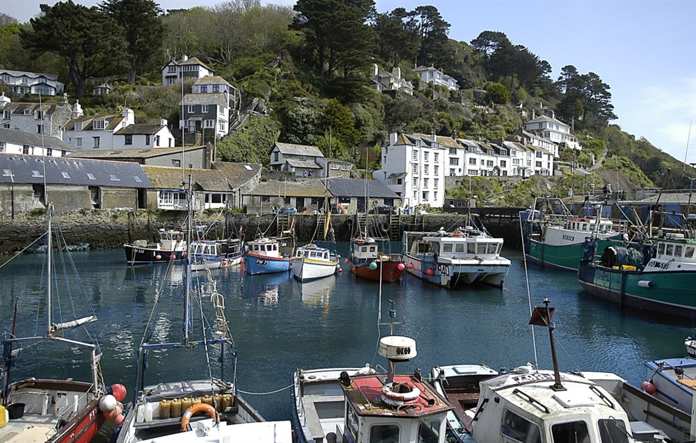 Photo of Wy Wurrie (photo 4) at Wy Wurrie in Polperro