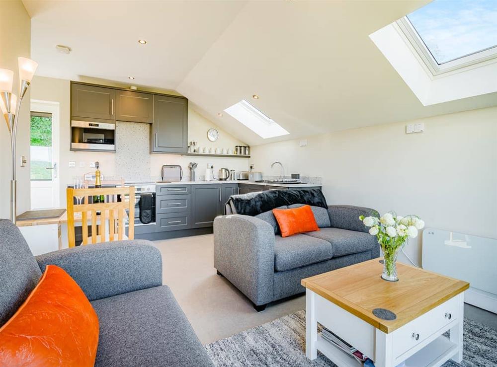 Open plan living space (photo 3) at Wye Nest in Ballingham, near Hereford, Herefordshire