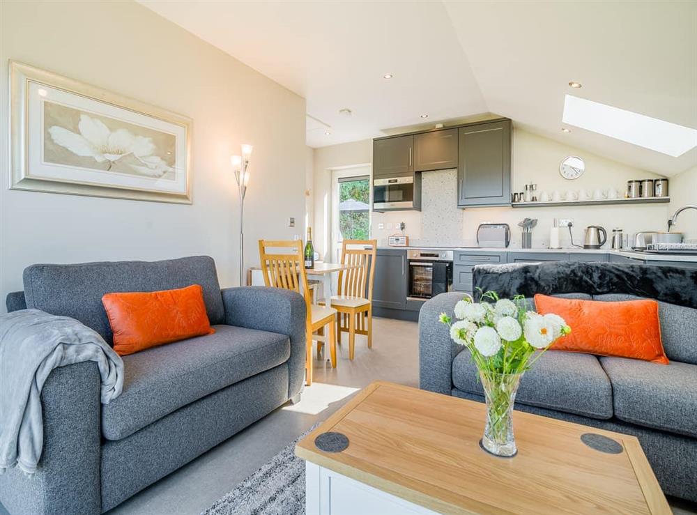 Open plan living space at Wye Nest in Ballingham, near Hereford, Herefordshire