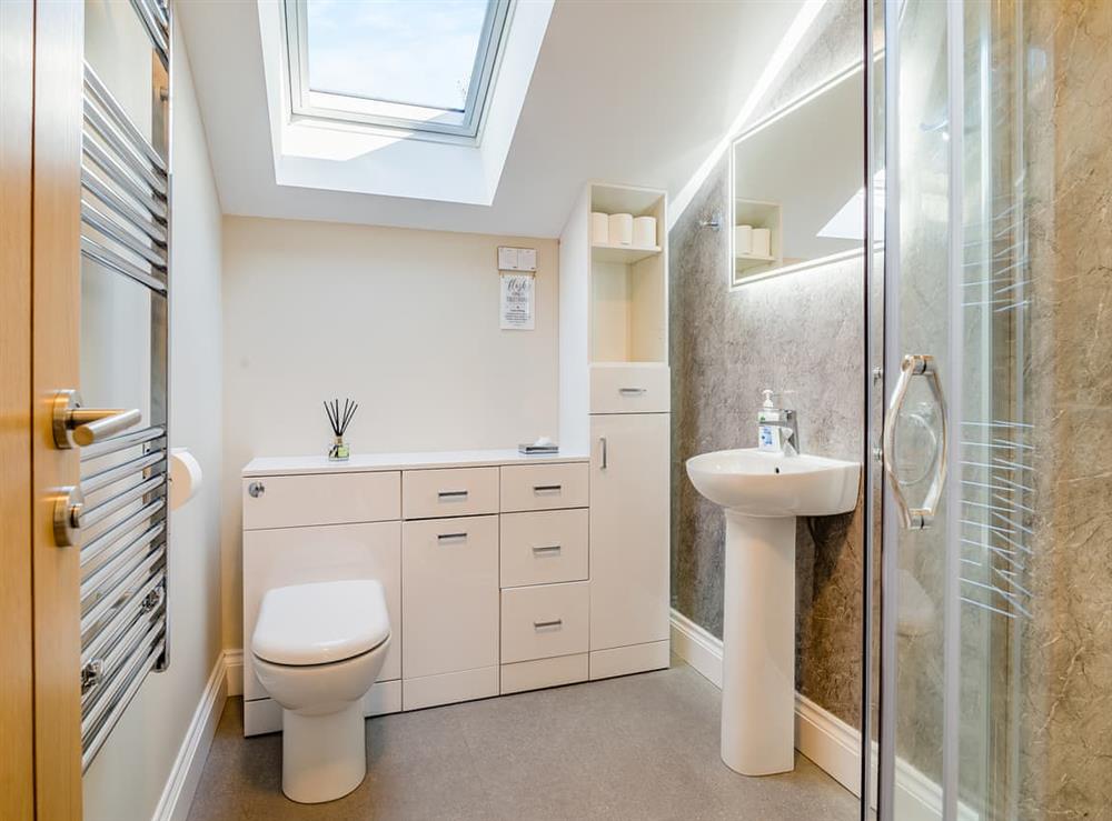 Shower room at Wye Nest in Ballingham, near Hereford, Herefordshire