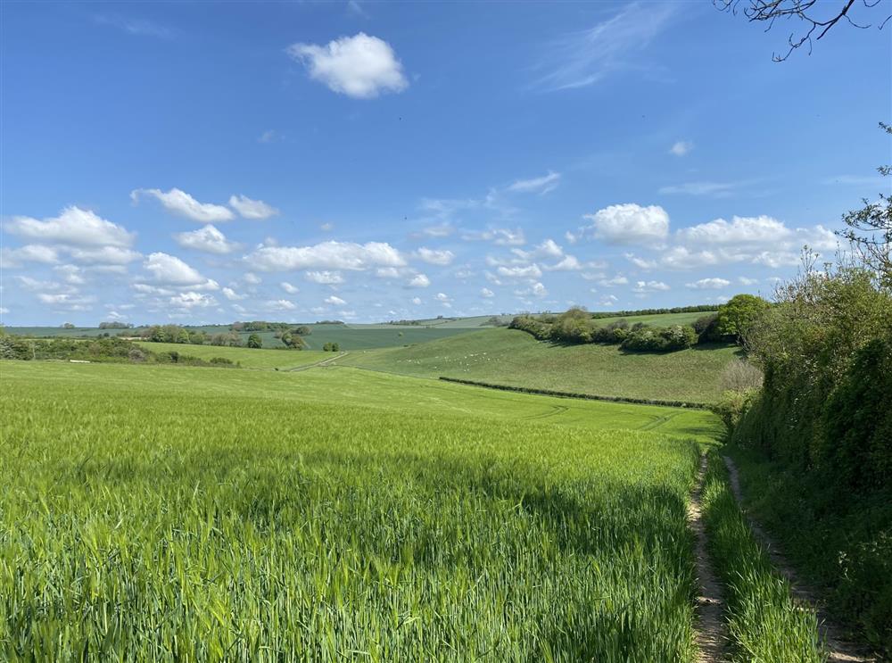 Glorious countryside walks can be enjoyed in this beautiful part of South Dorset at Wylye  Croft, Dorchester