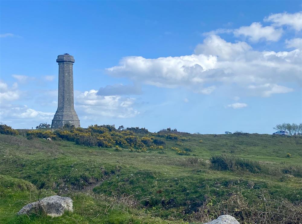 National Trust owned Hardy’s Monument is a pleasant walk, cycle or drive away at Wylye  Croft, Dorchester