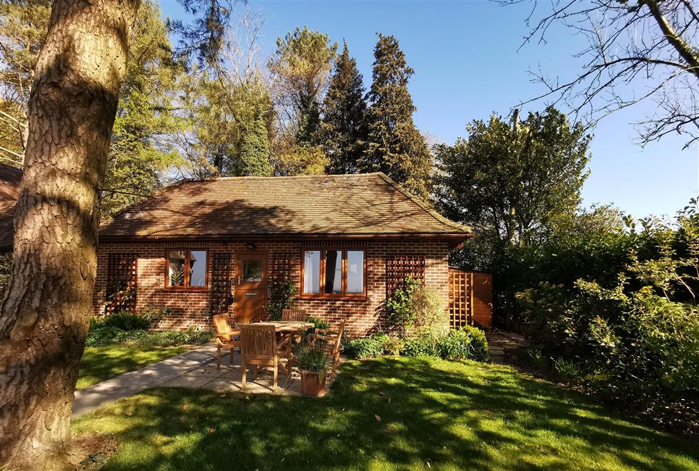 Attractive setting with mature trees at Wyndthorpe Cottage, Milton Abbas