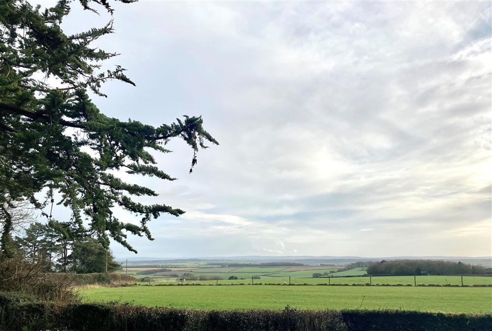 Views from Wyndthorpe Cottage