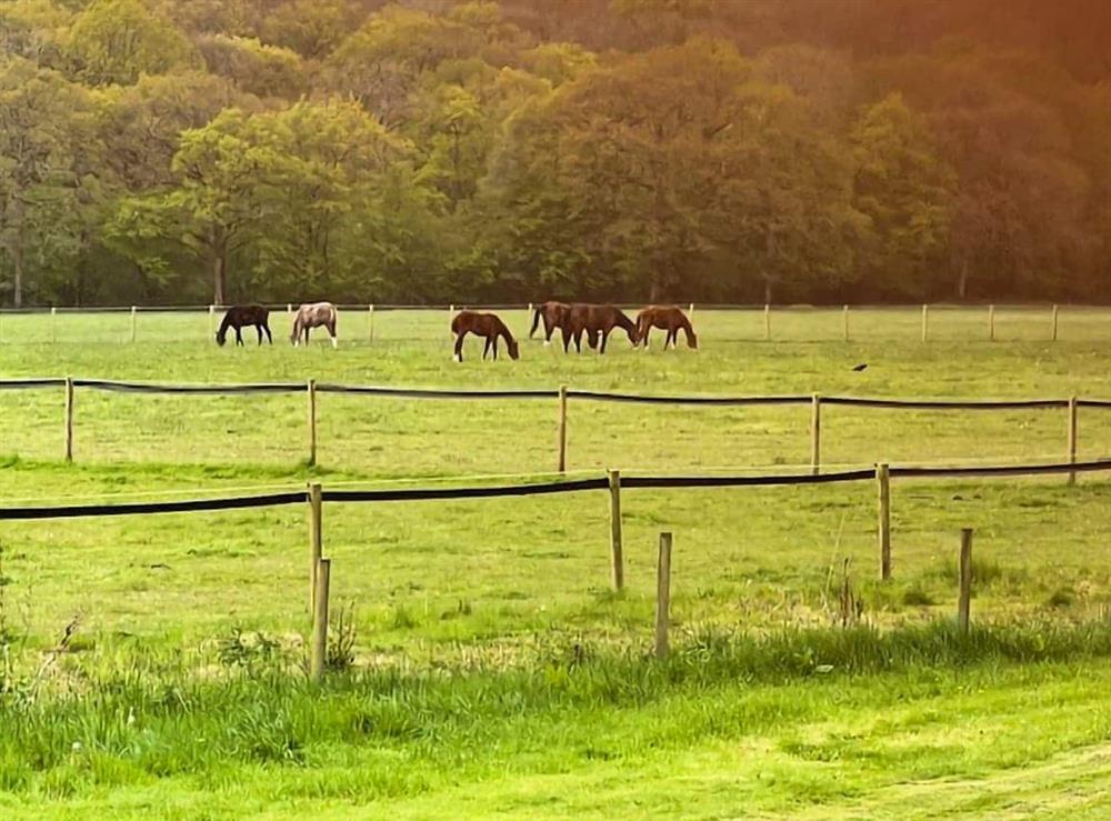 Surrounding area at Wysteria, North Lodge in Rusper, near Horsham, West Sussex