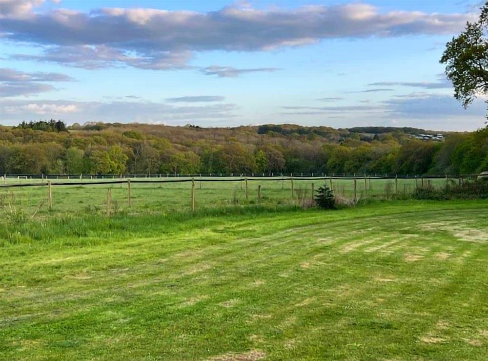 View at Wysteria, North Lodge in Rusper, near Horsham, West Sussex