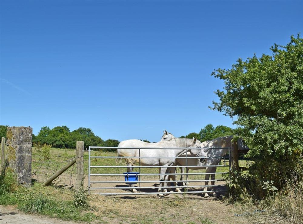 Set on a working farm with beautiful views at Y Beudy in Crymych, Pembrokeshire, Dyfed