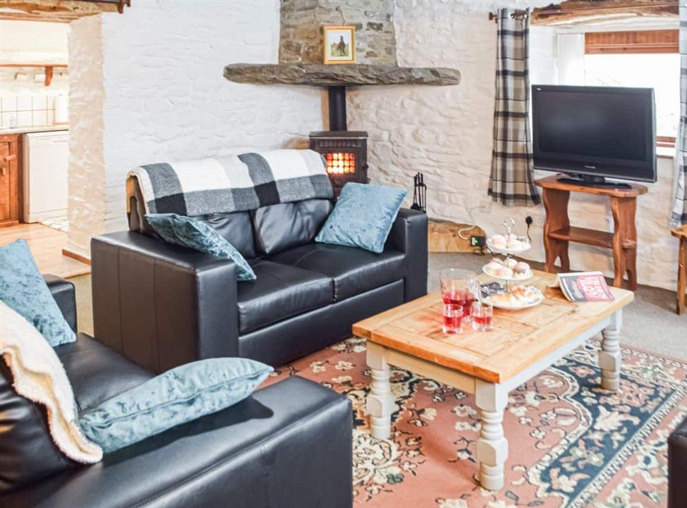 Living area at Y Beudy in Llanllwni, Dyfed