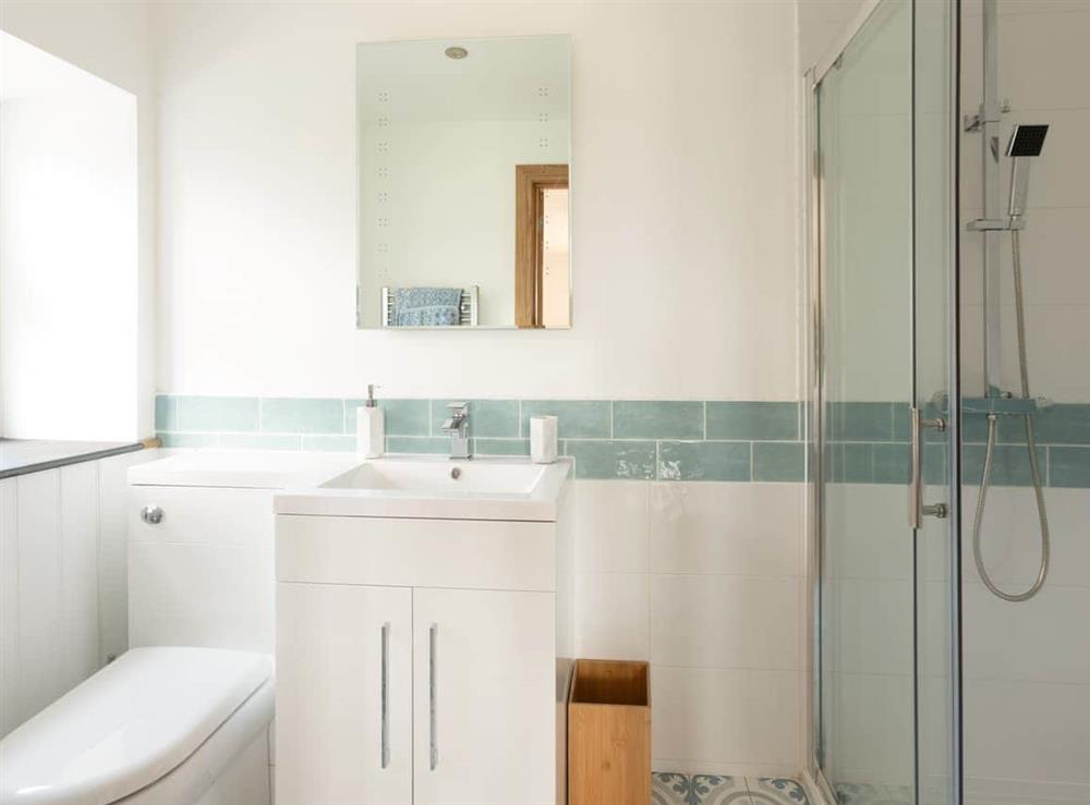 Shower room at Y Beudy in Llanwenog, near Llanybydder, Dyfed