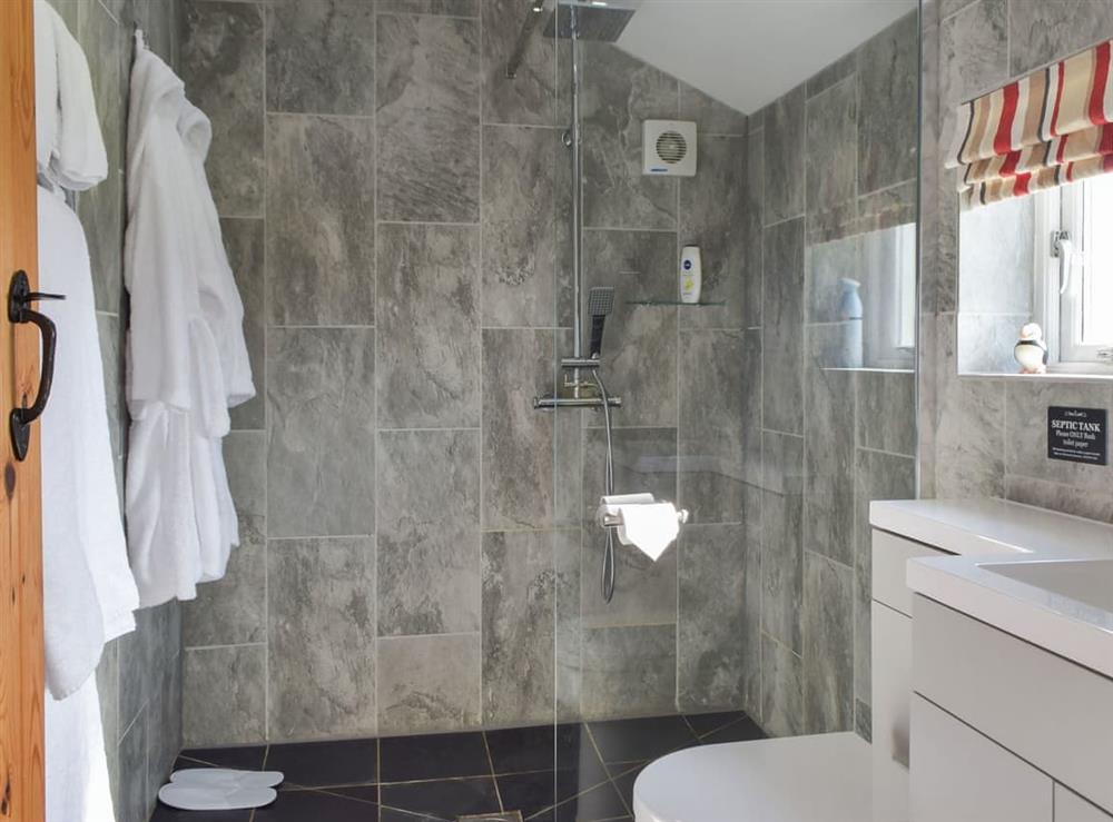 Shower room (photo 2) at Y Bwthyn in Blaenwaun, Dyfed