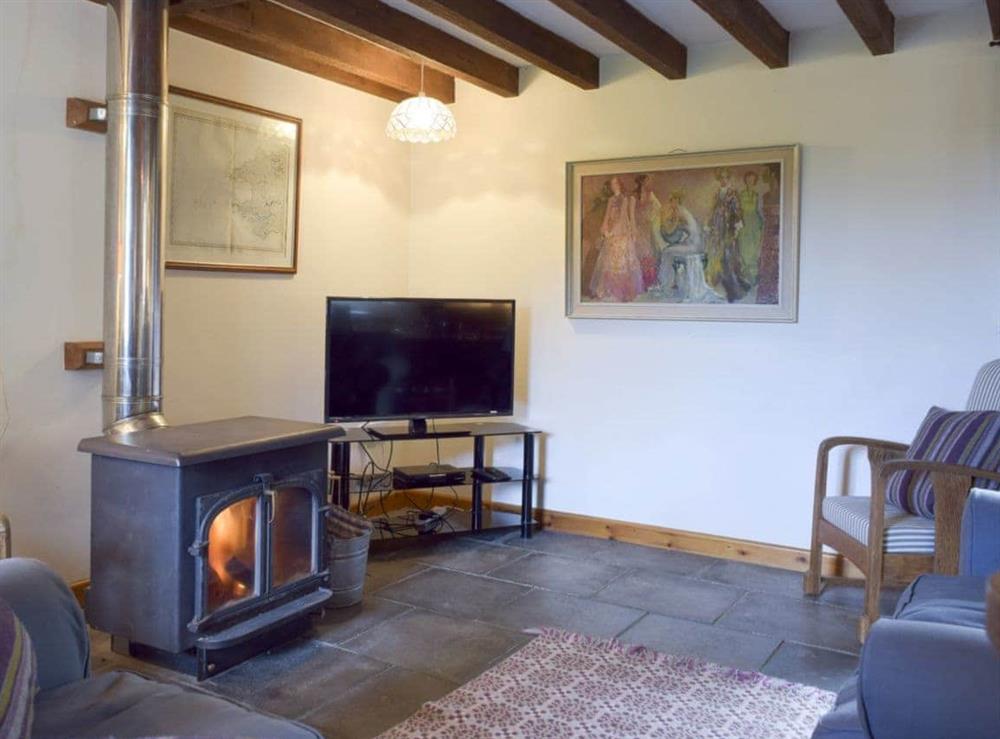 Comfortable and warm living area with wood burner (photo 2) at Y Bwthyn in Fachongle Ganol, Nr Newport, Pembs., Dyfed