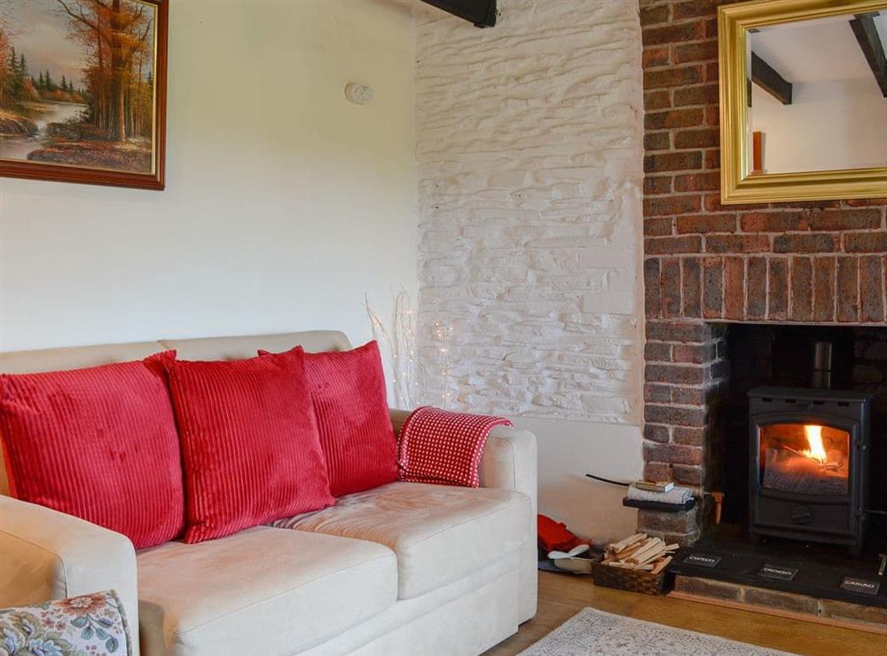 Living room with cosy wood burner (photo 2) at Y Bwthyn Gwyn in Trisant, near Devil’s Bridge, Cardigan, Dyfed