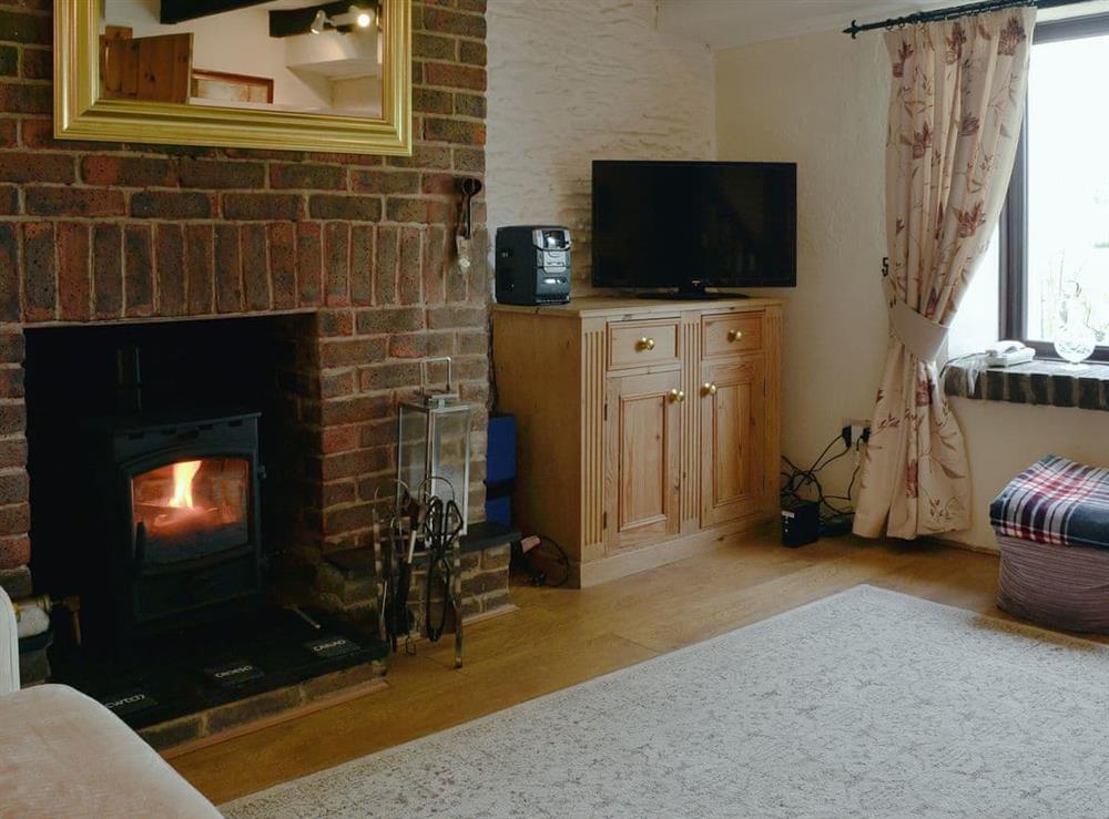Living room with cosy wood burner at Y Bwthyn Gwyn in Trisant, near Devil’s Bridge, Cardigan, Dyfed