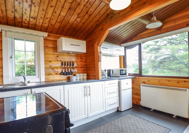 Kitchen at Y Bwthyn Pren, Cabin 209, Trawsfynydd