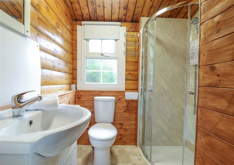 The bathroom at Y Bwthyn Pren, Cabin 209, Trawsfynydd