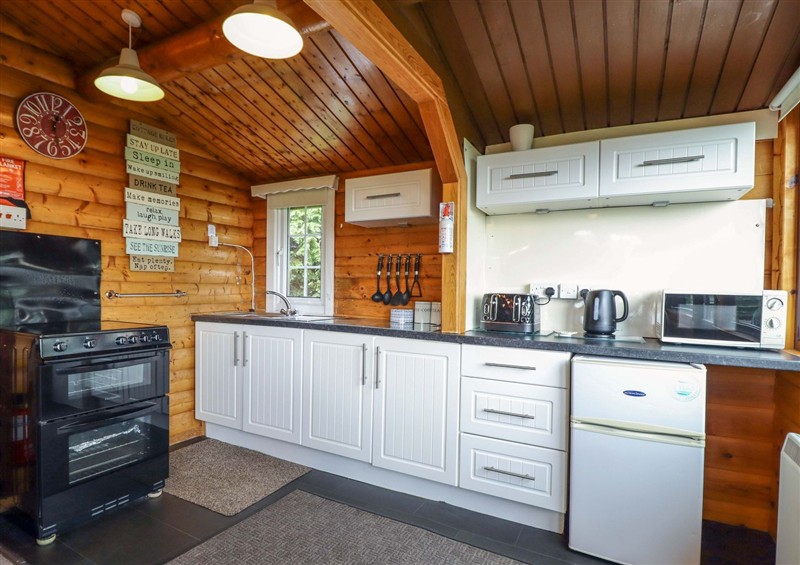 The kitchen at Y Bwthyn Pren, Cabin 209, Trawsfynydd