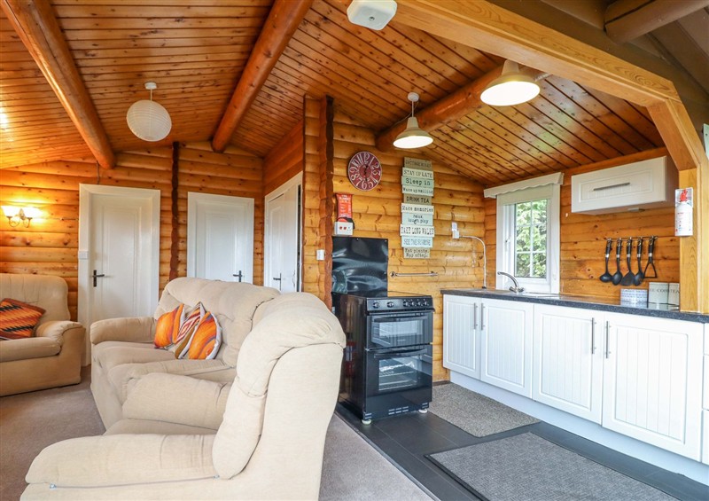 The setting (photo 3) at Y Bwthyn Pren, Cabin 209, Trawsfynydd