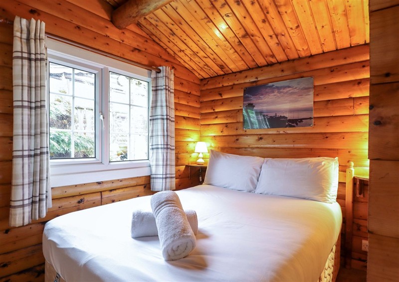 The setting (photo 4) at Y Bwthyn Pren, Cabin 209, Trawsfynydd