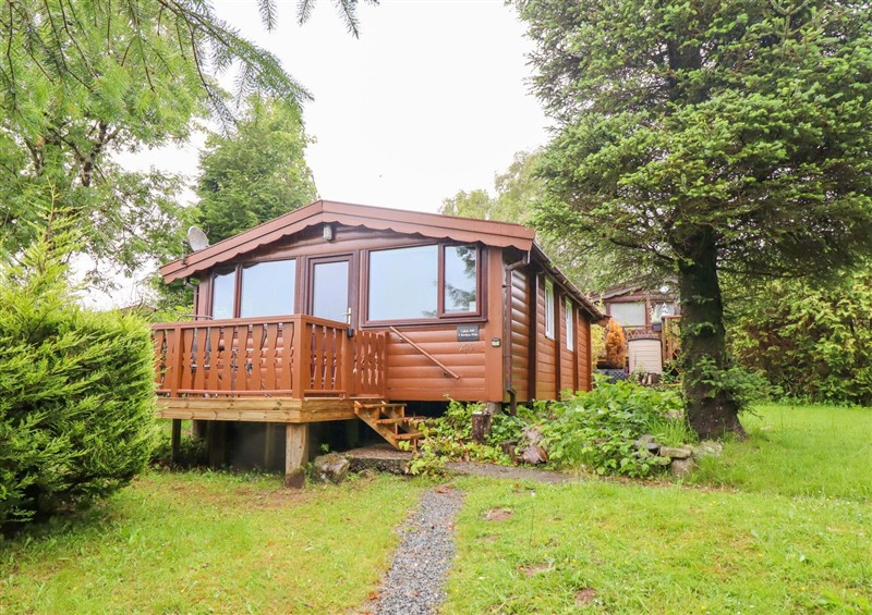 The setting of Y Bwthyn Pren, Cabin 209 (photo 3) at Y Bwthyn Pren, Cabin 209, Trawsfynydd
