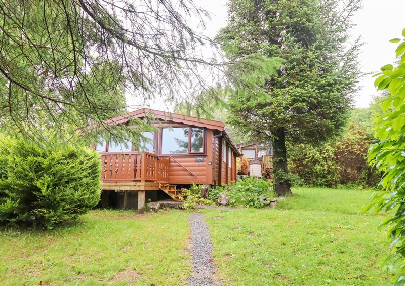 The setting at Y Bwthyn Pren, Cabin 209, Trawsfynydd