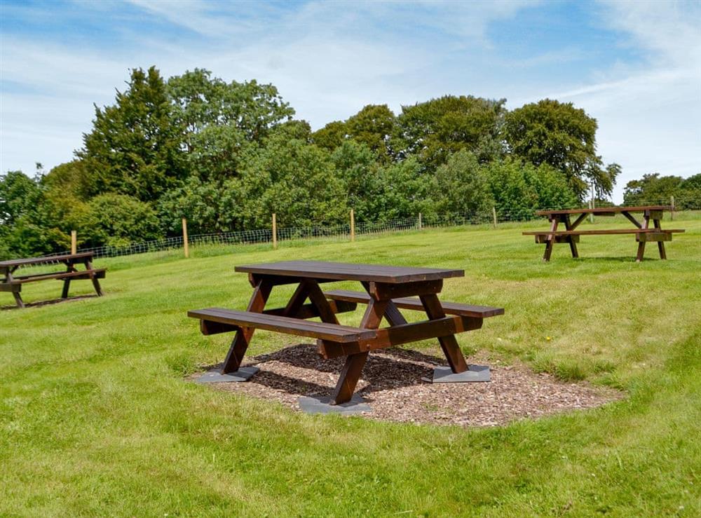 Sitting-out-area at Y Caffi in Blaenpennal, near Aberystwyth, Dyfed