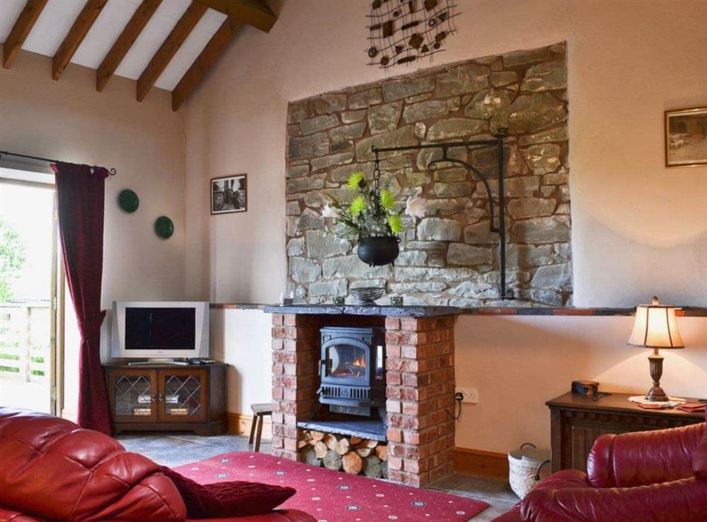 Living room at Y Dderwen in Llanfair Caereinion, Powys