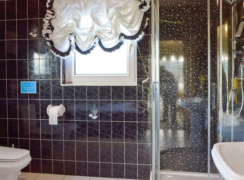 Luxurious En-suite bathroom at Y Dorlan in Cardigan, Dyfed